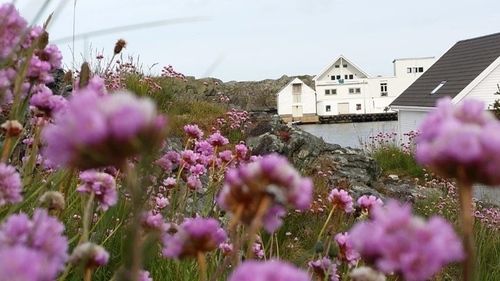 Utsira Overnatting - Sildaloftet Hostel Exterior photo